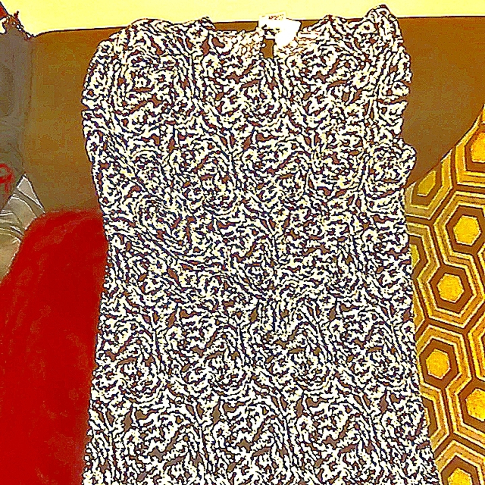 H&M Black and White Zebra Long sleeve dress,